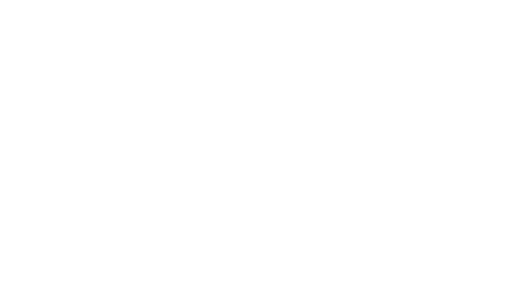 Winner winner chicken dinner logo on a white background